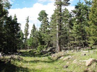 Lot 1202  AF Chalets Unit 2